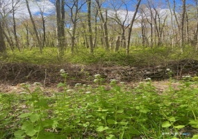 0 Clark Hill, East Haddam, 06423, 0 , 0 ,0,Lots And Land For Sale,For Sale,Clark Hill,0,24172467
