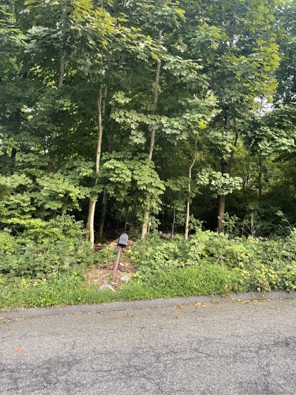 22 Frances, Seymour, 06483, 0 , 0 ,0,Lots And Land For Sale,For Sale,Frances,0,24078049