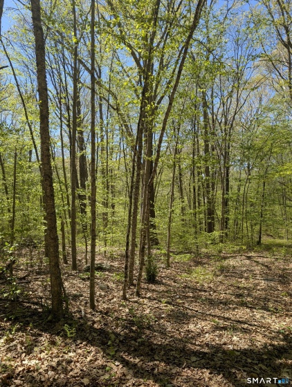 Englewood, Coventry, 06238, 0 , 0 ,0,Lots And Land For Sale,For Sale,Englewood,0,24173868