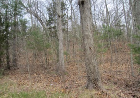 43 fallbrook, Killingly, 06243, 0 , 0 ,0,Lots And Land For Sale,For Sale,fallbrook,0,24175350