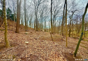 71 Dunbar Hill, Hamden, 06514, 0 , 0 ,0,Lots And Land For Sale,For Sale,Dunbar Hill,0,24175076