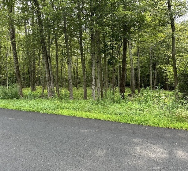 834 Hampton, Pomfret, 06230, 0 , 0 ,0,Lots And Land For Sale,For Sale,Hampton,0,24076804