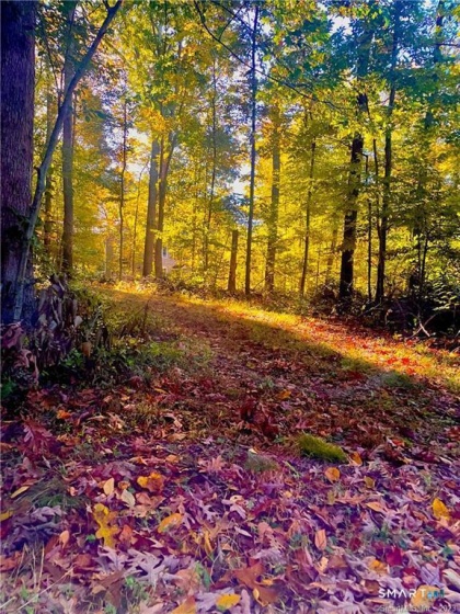 88-A Flat Rock Hill, Old Lyme, 06371, 0 , 0 ,0,Lots And Land For Sale,For Sale,Flat Rock Hill,0,24176086
