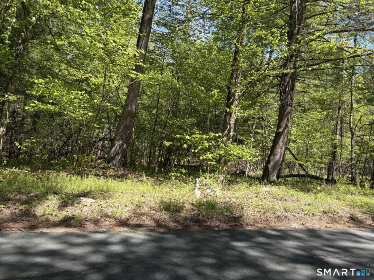 16 West Hill, Barkhamsted, 06063, 0 , 0 ,0,Lots And Land For Sale,For Sale,West Hill,0,24176097
