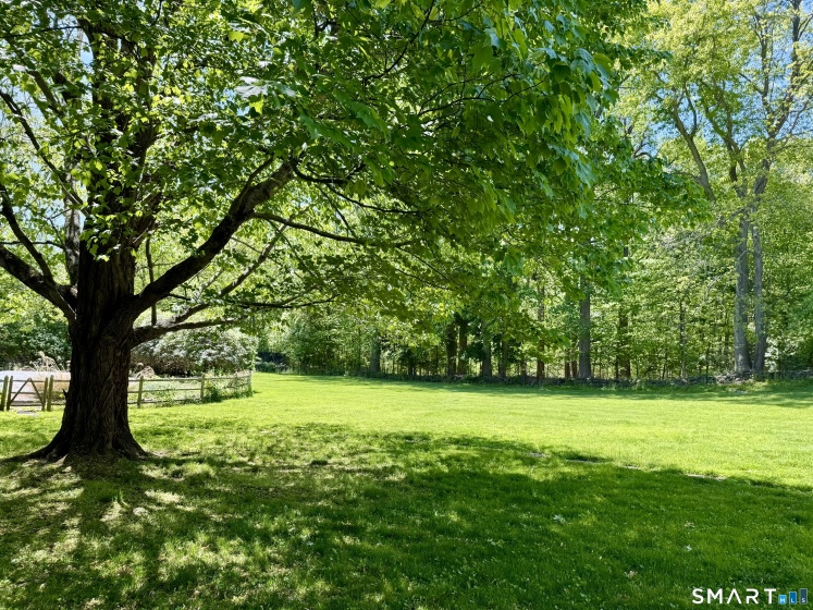 22 Dawn, Westport, 06880, 4 Bedrooms Bedrooms, 0 ,4 BathroomsBathrooms,Single Family For Sale,For Sale,Dawn,0,24176377