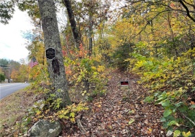 0000 Webster, Ellington, 06029, 0 , 0 ,0,Lots And Land For Sale,For Sale,Webster,0,170605485