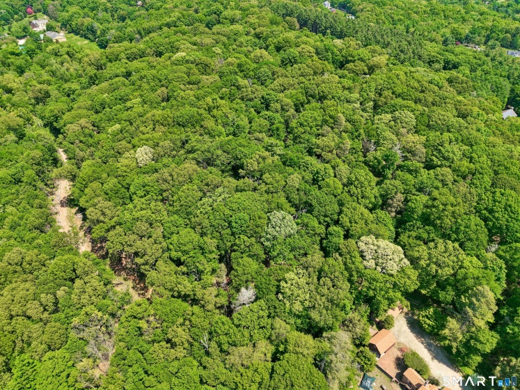 345 Spruce Bank, Hamden, 06518, 0 , 0 ,0,Lots And Land For Sale,For Sale,Spruce Bank,0,24175429