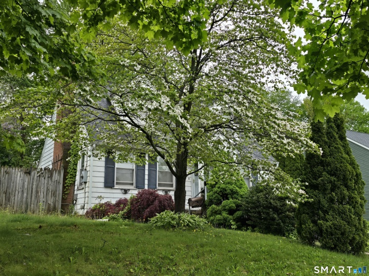 2711 Main, Rocky Hill, 06067, 3 Bedrooms Bedrooms, 0 ,2 BathroomsBathrooms,Single Family For Sale,For Sale,Main,0,24175611